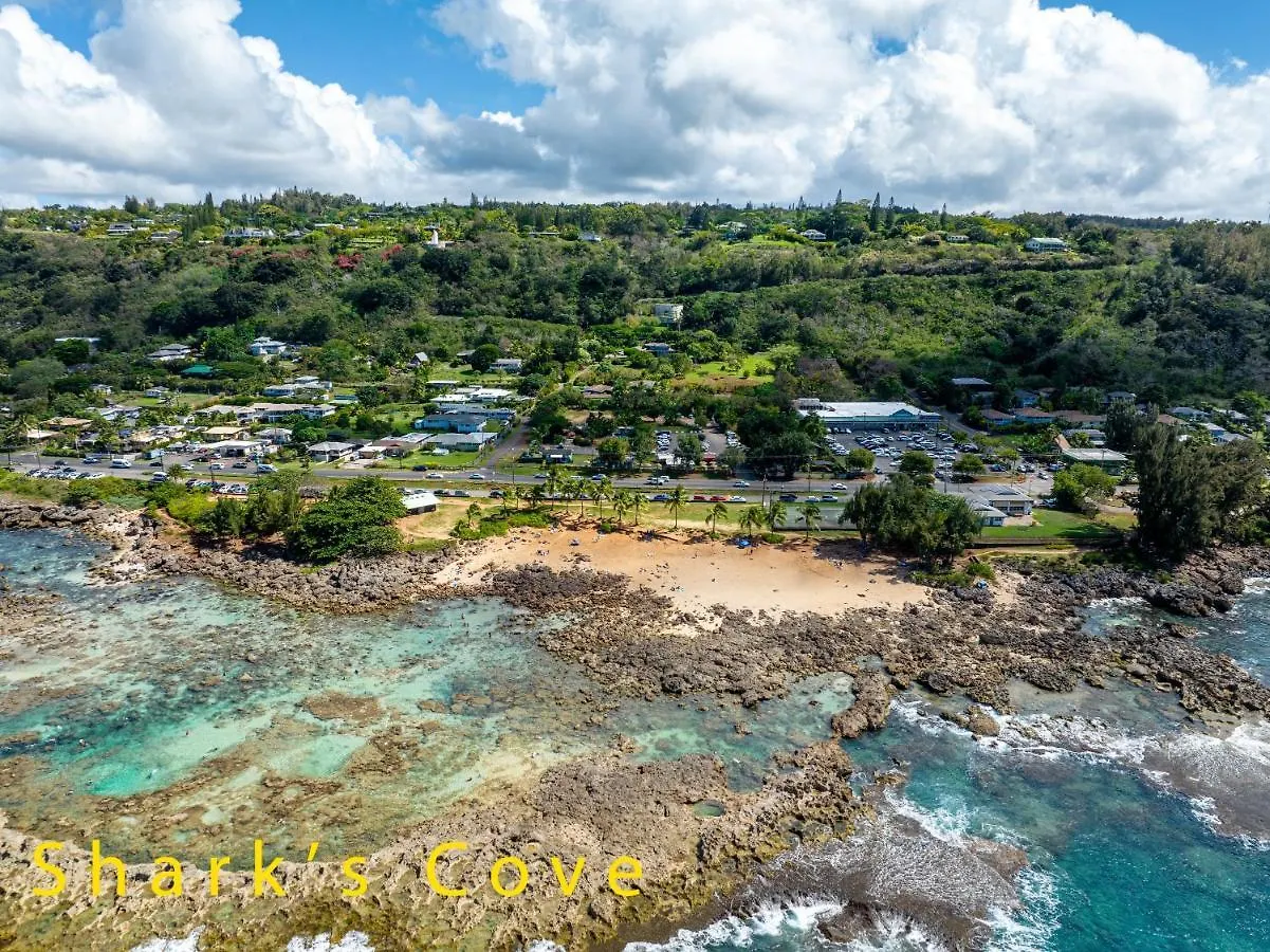 Turtle Bay Kuilima Resort East Condo 카후쿠 아파트